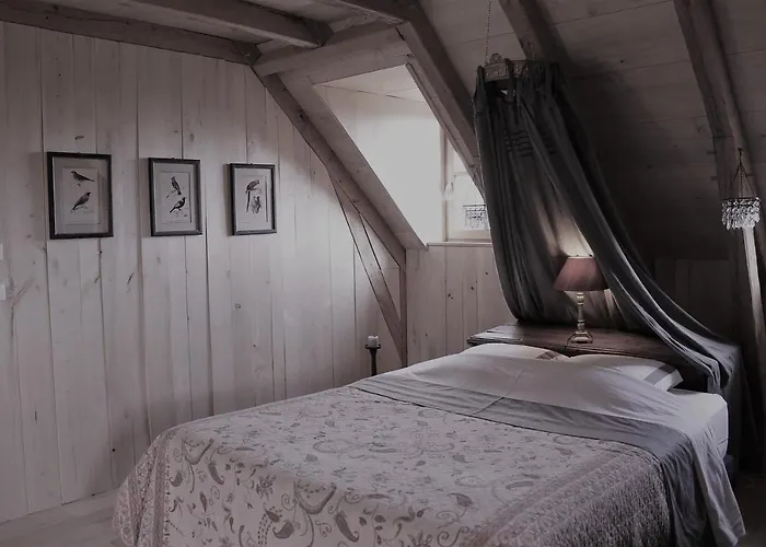 Les Terrasses De Labade Et D'hotes