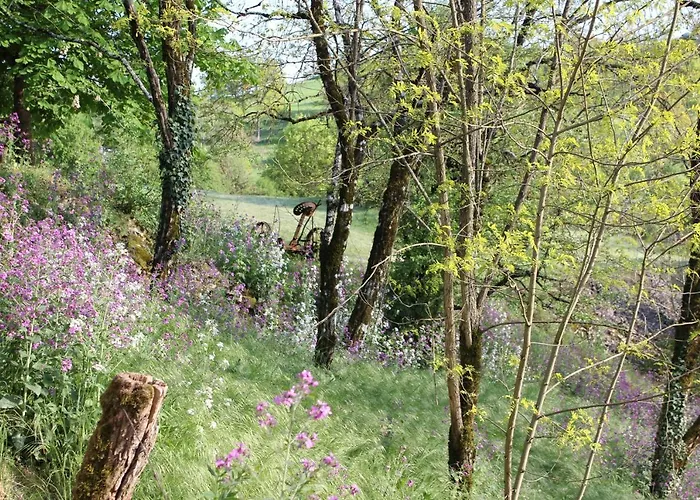 Bed & Breakfast Les Terrasses De Labade Et D'hotes 4*