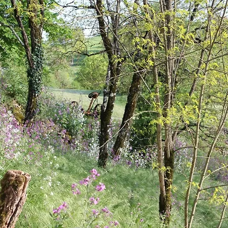 Bed and breakfast Les Terrasses De Labade Et D'hotes 4*